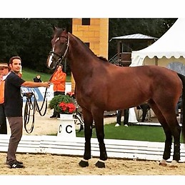 Jacobo Martínez-Acitores Otero