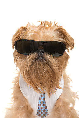 Laura Guareño Muñoz