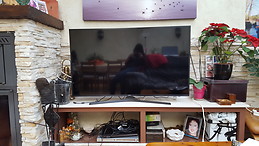 Isabel Ferrándiz Cabrera