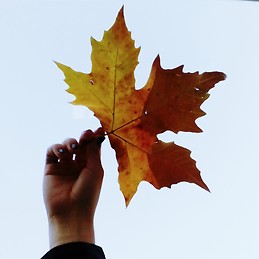 Irene Arruebo Falcón