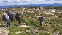 Javier Núñez Villanueva