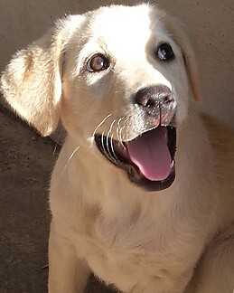 Juan Miguel Terrasa Soler