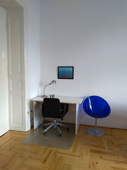 Cozy apartment close to VET University