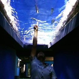 Nathalie Costanzo Epouse Saint