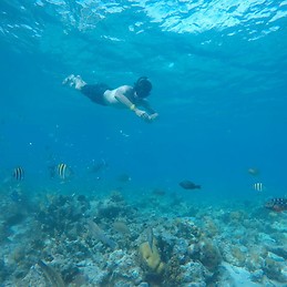 Juan David Aristizabal Daza