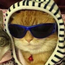 Furkan Berkay Mildan