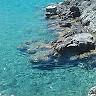 Ντίνα Τ.