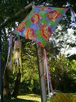 Marilene Oliveira Almeida