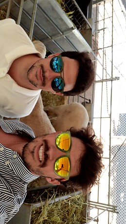 Mario Gomez-Calcerrada Sánchez