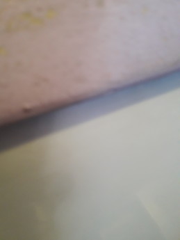 María José Delgado