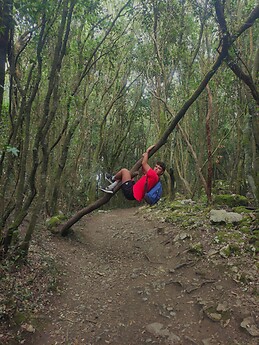 Oier Sarobe Lizundia