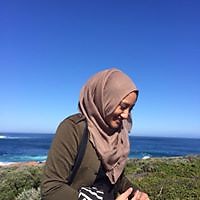 Hanim Zaini