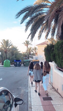 alba leon