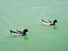 Encarni Martínez Sánchez