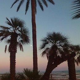 teresa arrufat conesa