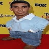 hakim