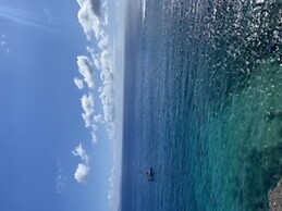 Andrea Miranda Mateo