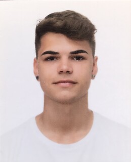 javier palomares fernández