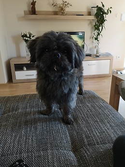 Apartment Gervais Rijeka