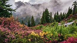 Paula Merchán Delgado