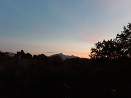 Marie Hélène  Goya Elhorry