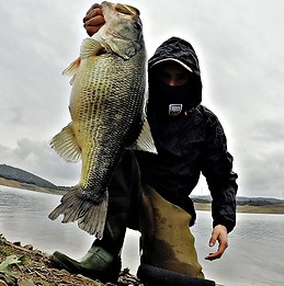 Juan Antonio Bullon Piña