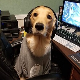 Mateo Daniel. Ortuño Ovando