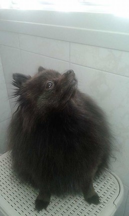 maria del mar rodriguez garcia