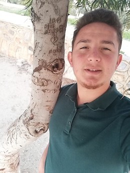 Tolga Aldemir
