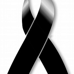 Ninel Torrico Vargas