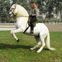 María Vassallo Ascuí