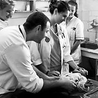 Juan Pedro Martínez García-Rodrigo