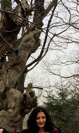 Munise Nevin Özdemir