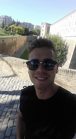 Vicente De Los Santos Miñana