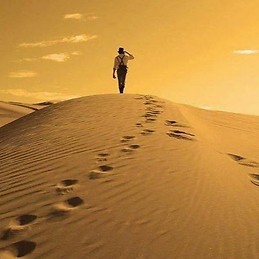 Ahmed SEDOUM