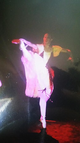 Damiana SHine Zammataro