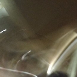 karol cisneros cueva