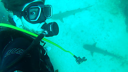 Víctor De Leon Besolí