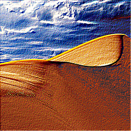 Dario Nahatil
