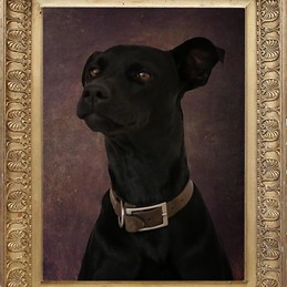 Héctor Peña Olivas