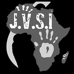 Jvsi Volontariat