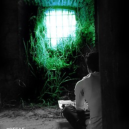 Moscas De Terciopelo