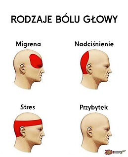 Maja Koziełł-Poklewska