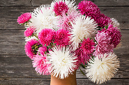 Viktorija Vaičekonytė