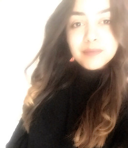 Dina Abdelhafez