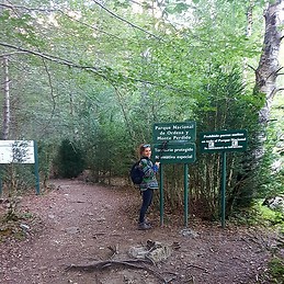 Haizea Urkiza