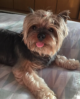 Lola Garcia Fernandez-Pacheco