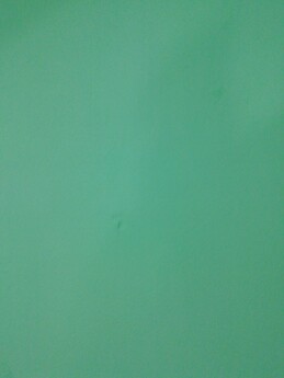 Matías Pulpillo Chiclana