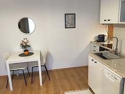 Newly renovated apartman Budapest city