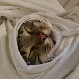 Jessica Thalia Muñoz Minchala Jakaja 